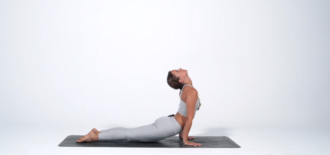 urdhva mukha svanasana