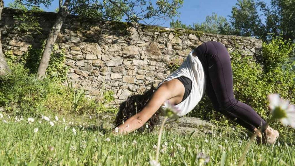 descubre qué es yoga dharma con tu profesor de yoga