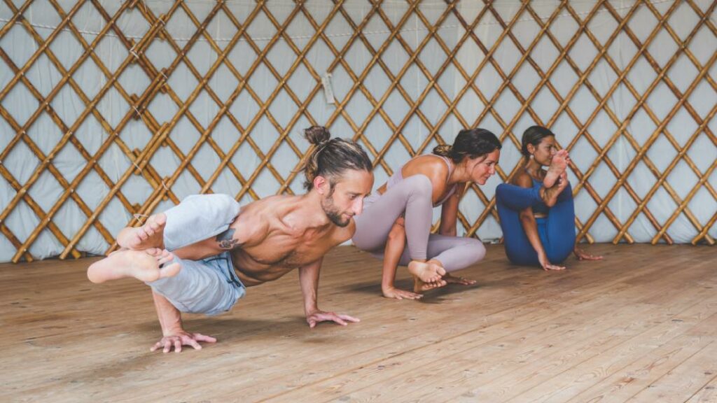 descubre una nueva variante del yoga. hatha vinyasa yoga, con posturas estáticas y secuencias dinámicas