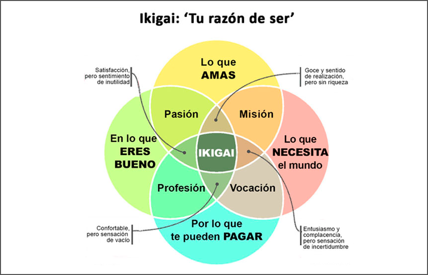 Reflexión 5: IKIGAI